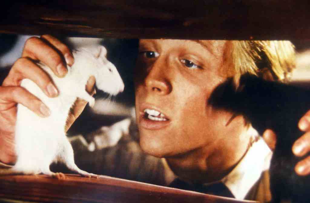 Willard - 22 delightfully fun and devilishly dark movies