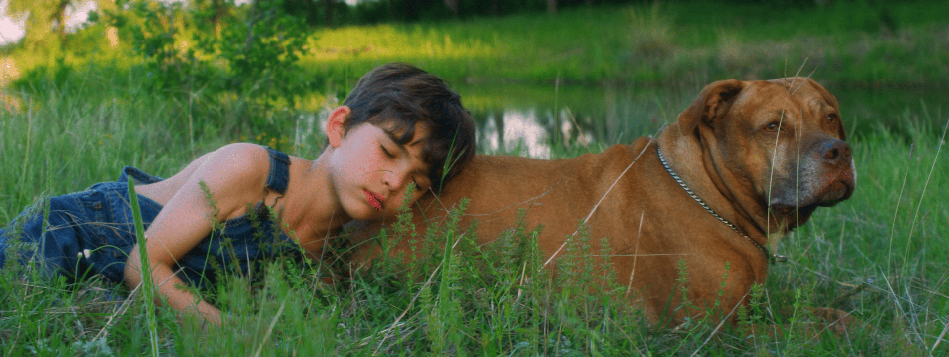 Buck Alamo (Austin Film Festival) review