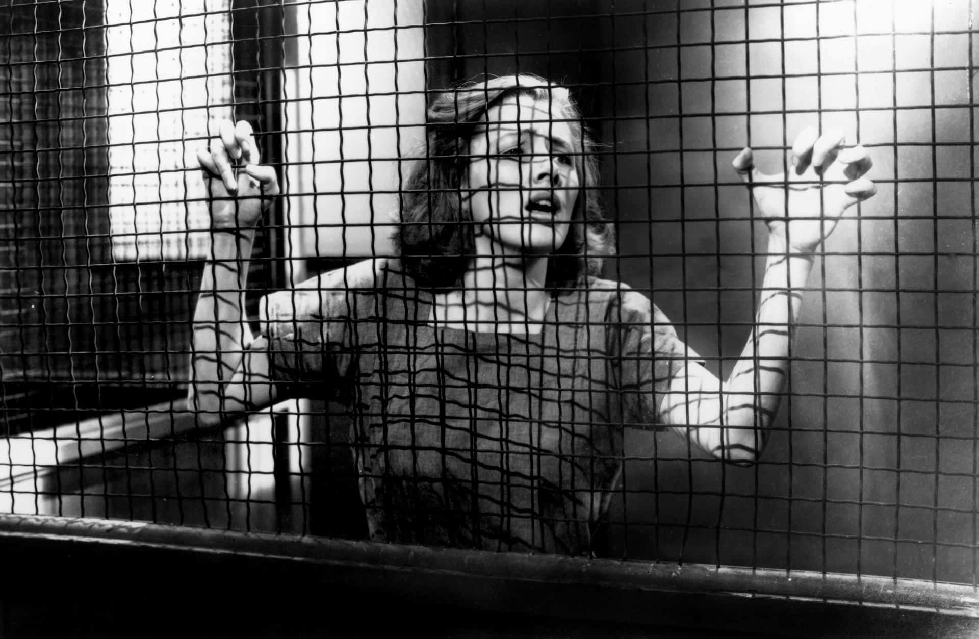 Noirvember 2021