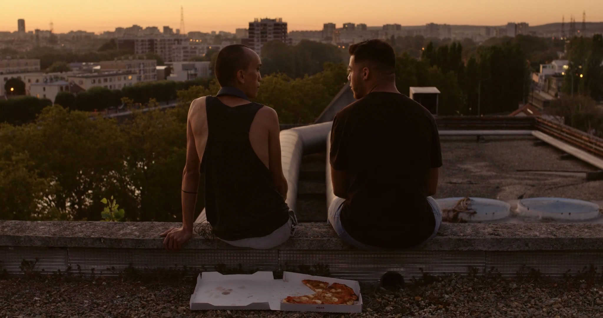 The French Boys Quadrilogy - NQV Media Review