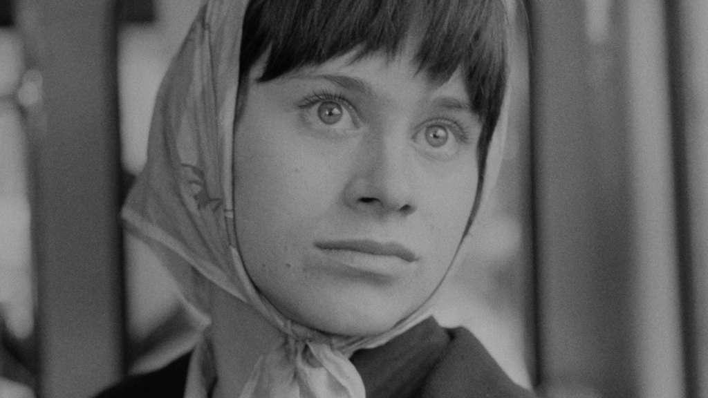 LGBTQ+ From Stage to Screen - a collection of groundbreaking plays adapted for film and TV