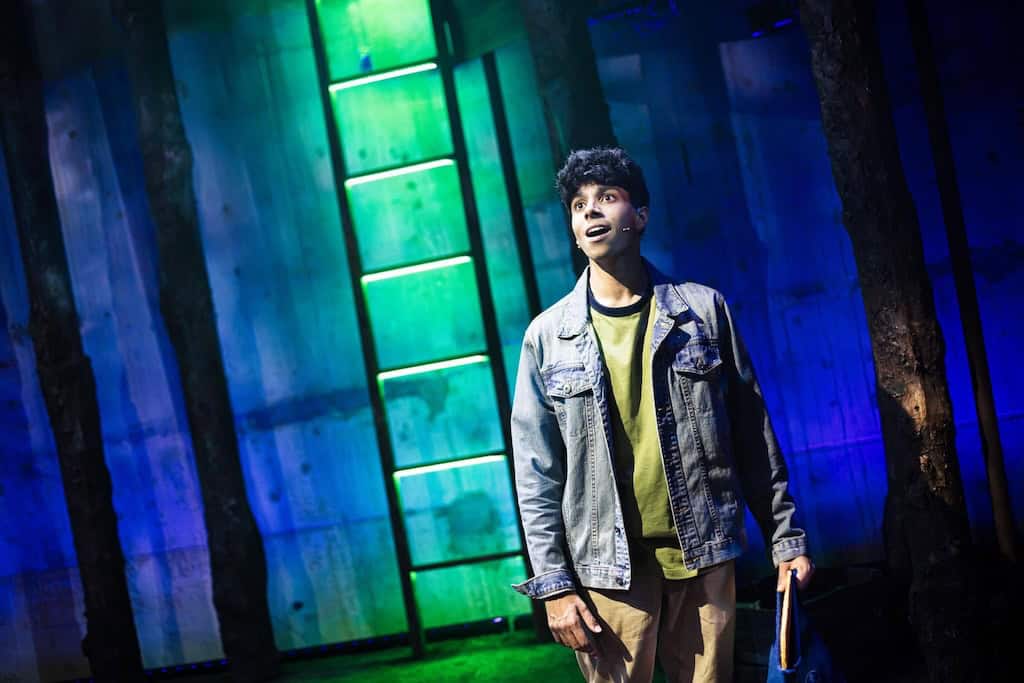 Into the Woods National Youth Music Theatre Review
