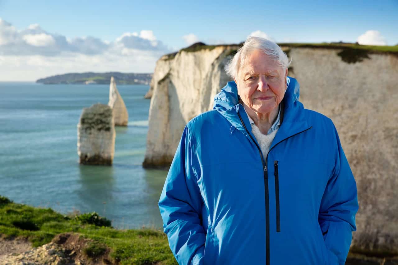 Ocean with David Attenborough Documentary