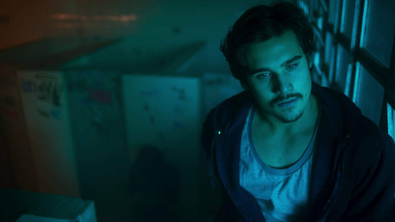 nqv media the male gaze: breaking dawn collection