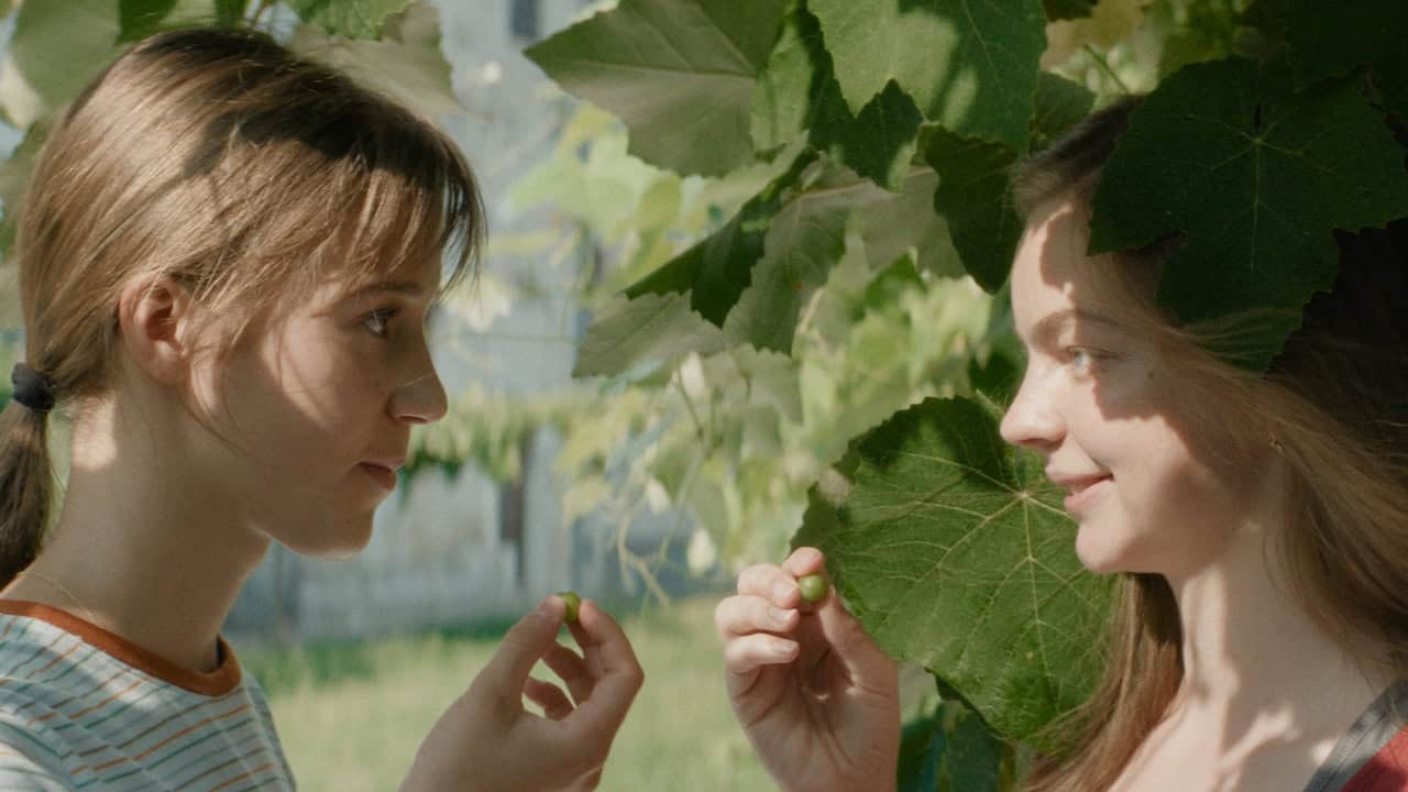 Little Trouble Girls (review)