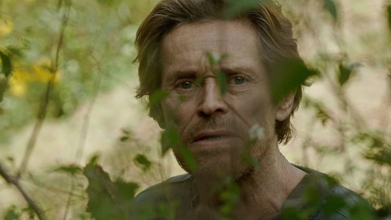 Cinerama Festival Capsule