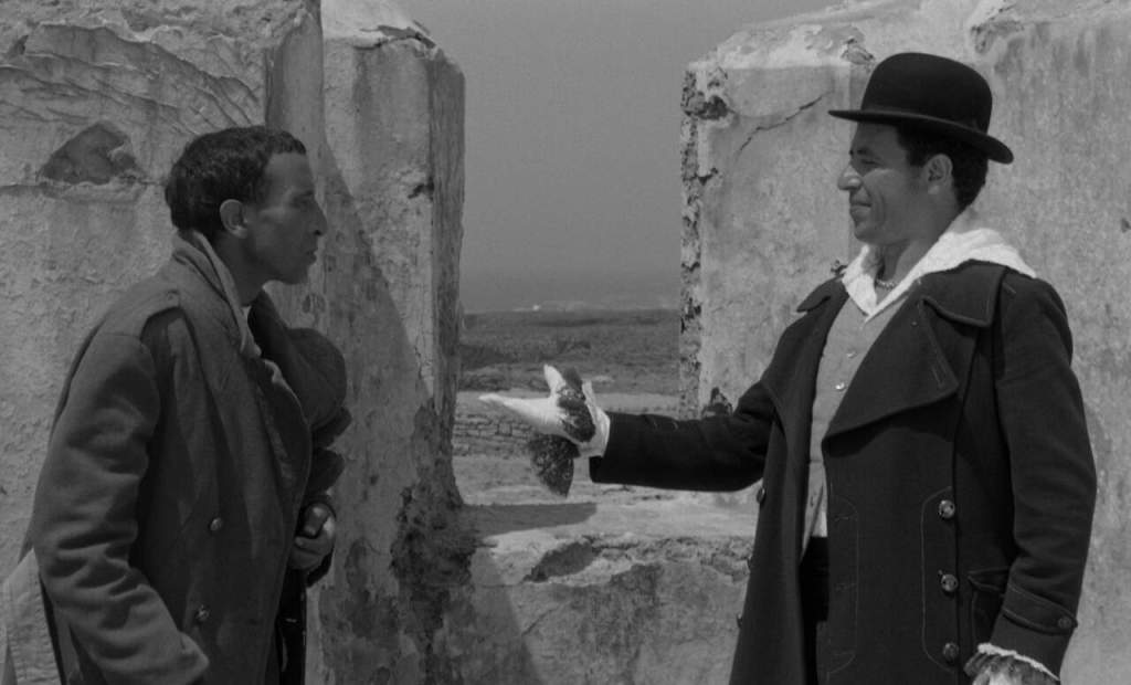 76th Berlinale Specials, Panorama, Classics and Generation Mirage