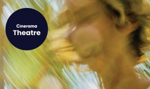 summerfolk national theatre complete cast