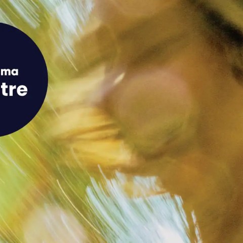 summerfolk national theatre complete cast