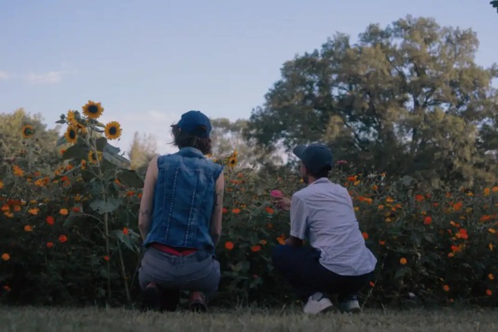 what will i become? bfi flare film review