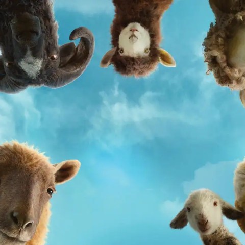 the sheep detectives film review
