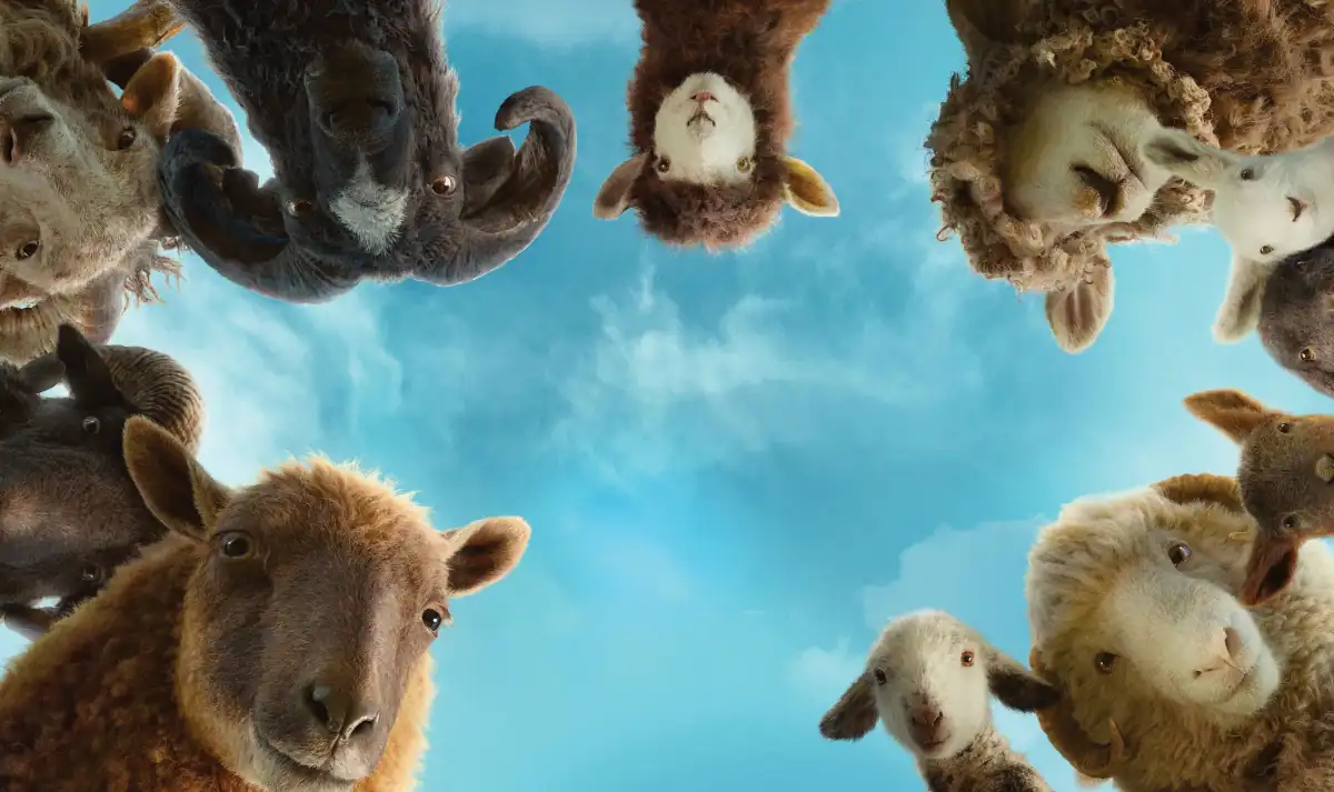 the sheep detectives film review