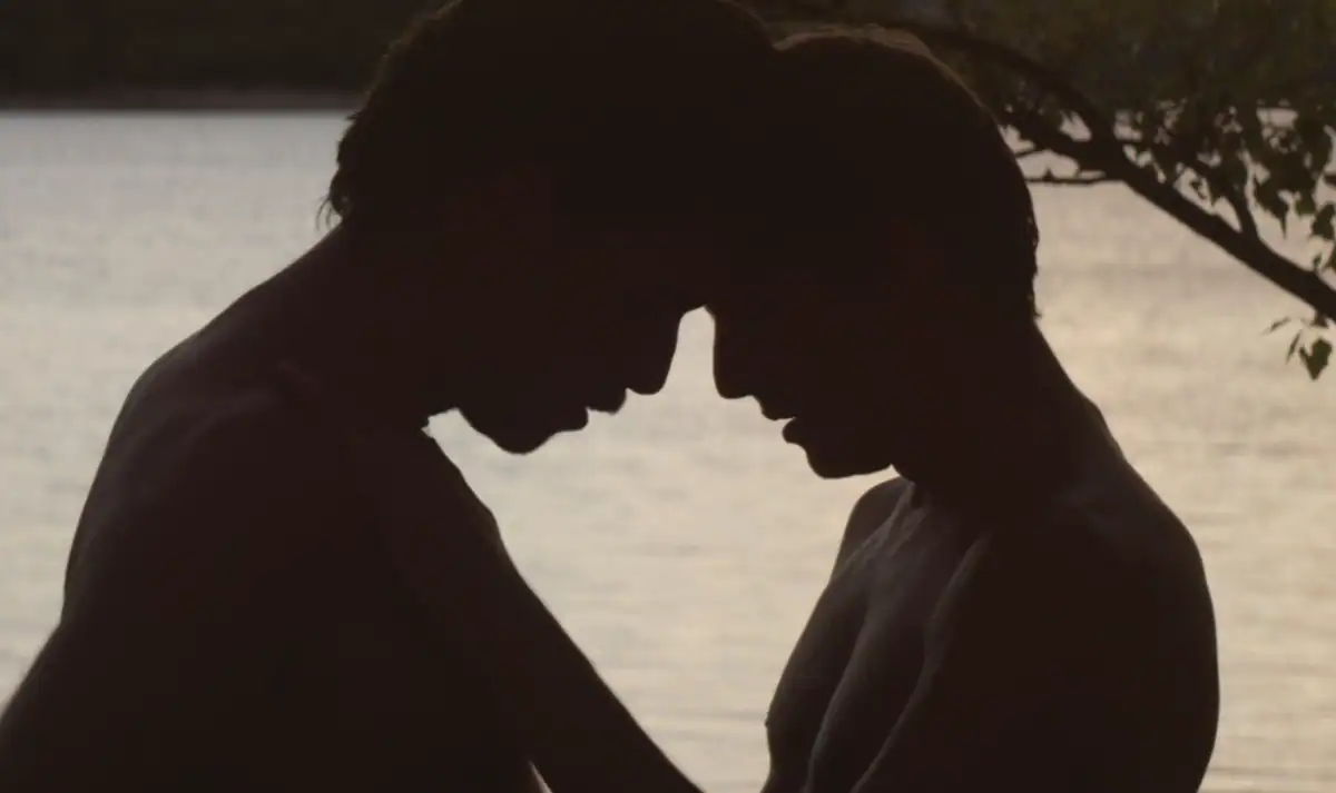 stranger by the lake 2013 rewind review